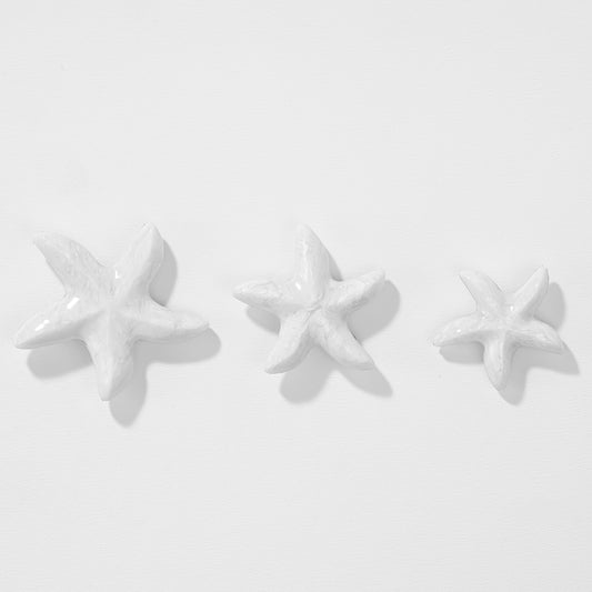 Presilha de cabelo em forma de estrela-do-mar - Conjunto com 2 unidades