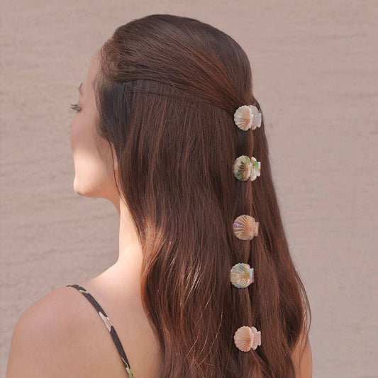 Ganchos de cabelo Shell Mini Claw - Conjunto de 5 - Multicolor